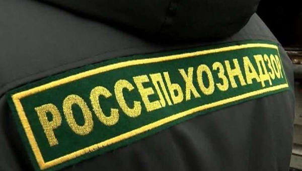 Россельхознадзор снимает ограничения на поставку молока и мяса из Беларуси Россельхознадзор снимает ограничения на поставку молока и мяса из Беларуси