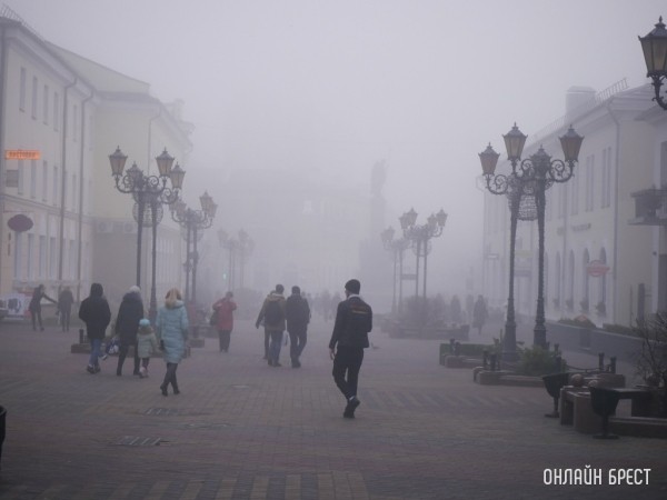 Сколько человек в Брестской области прошли полный курс вакцинации от COVID