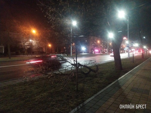 Читатель: В Бресте на Я.Купалы дерево упало в сторону дома. Вот ещё сегодняшние последствия сильного ветра
             
                Читатель: В Бресте на Я.Купалы дерево упало в сторону дома. Вот ещё сегодняшние последствия сильного ветра