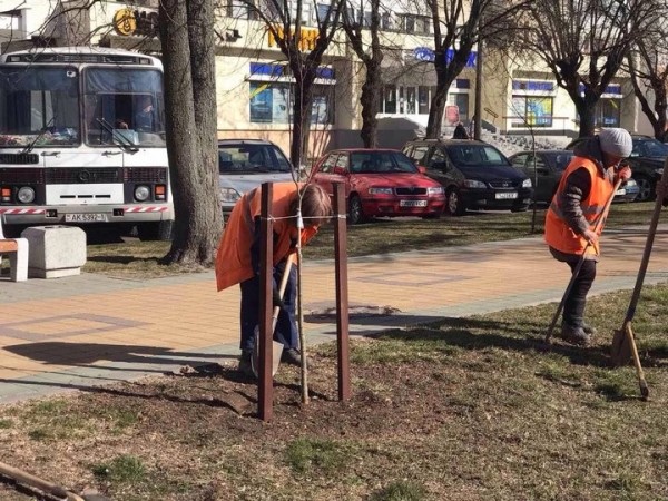 В Бресте стартовал месячник по благоустройству. Фоторепортаж В Бресте стартовал месячник по благоустройству. Фоторепортаж