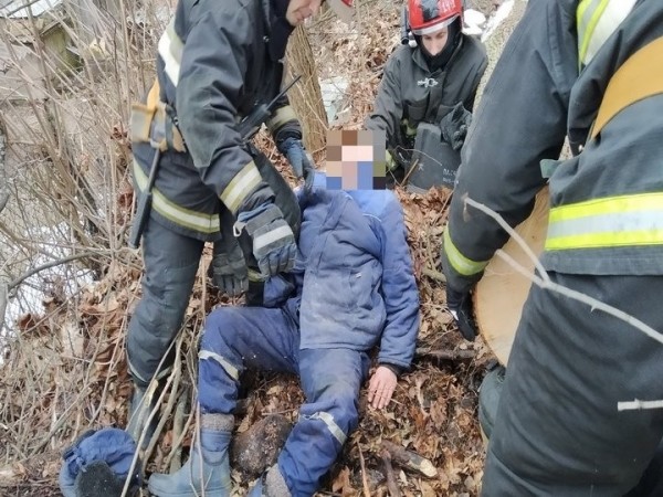 В Мозыре на мужчину упало дерево. Фото и видео В Мозыре на мужчину упало дерево. Фото и видео