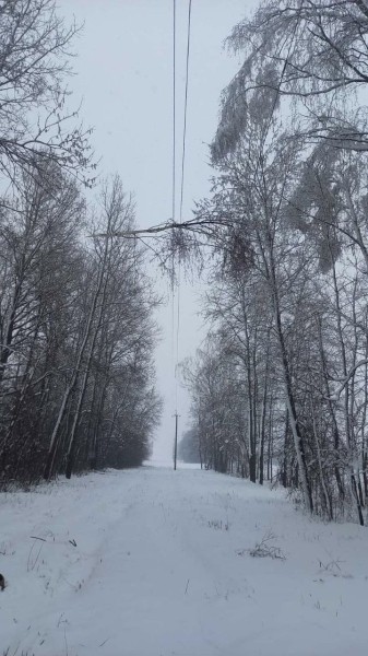 Электроснабжение восстановлено в большинстве пострадавших от непогоды населенных пунктов Брестской области Электроснабжение восстановлено в большинстве пострадавших от непогоды населенных пунктов Брестской области