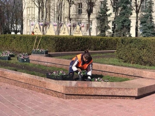 В Бресте на городских клумбах стали появляться первые весенние цветы В Бресте на городских клумбах стали появляться первые весенние цветы