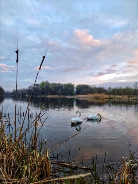 Читатель: Сегодняшнее утро в городе-спутнике Бреста (Жабинка). Красиво
             
                Читатель: Сегодняшнее утро в городе-спутнике Бреста (Жабинка). Красиво