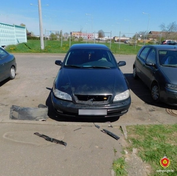 Что стало с этим Opel? Вредителя выдала шерсть на деталях авто Что стало с этим Opel? Вредителя выдала шерсть на деталях авто