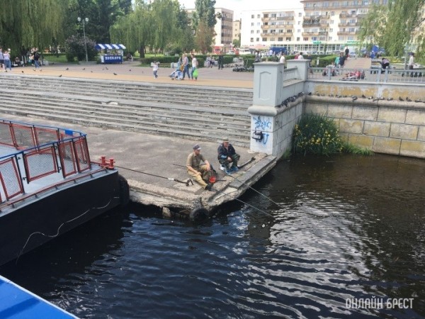 Рыбалка в мае: что запрещено и разрешено в период нереста Рыбалка в мае: что запрещено и разрешено в период нереста