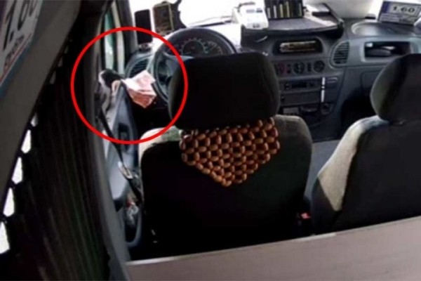 В Гомеле ворона стащила у маршрутчика выручку В Гомеле ворона стащила у маршрутчика выручку