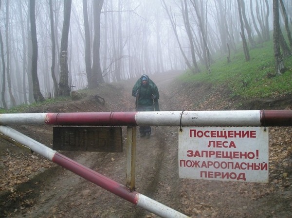 Ограничения на посещение лесов действуют более чем в половине районов Брестской области Ограничения на посещение лесов действуют более чем в половине районов Брестской области