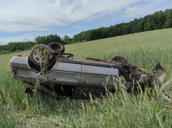 Вылетел из салона на 20 метров. В Беларуси водитель Audi получил тяжелые травмы, избегая столкновения с косулей Вылетел из салона на 20 метров. В Беларуси водитель Audi получил тяжелые травмы, избегая столкновения с косулей