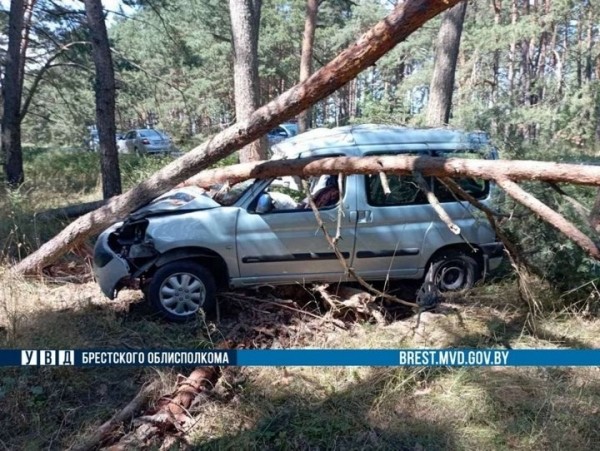 В Брестской области водитель врезался в придорожные деревья В Брестской области водитель врезался в придорожные деревья