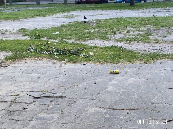 Читатель: Территория детской площадки нуждается в уборке. Брест, бульвар Космонавтов, 33
             
                Читатель: Территория детской площадки нуждается в уборке. Брест, бульвар Космонавтов, 33