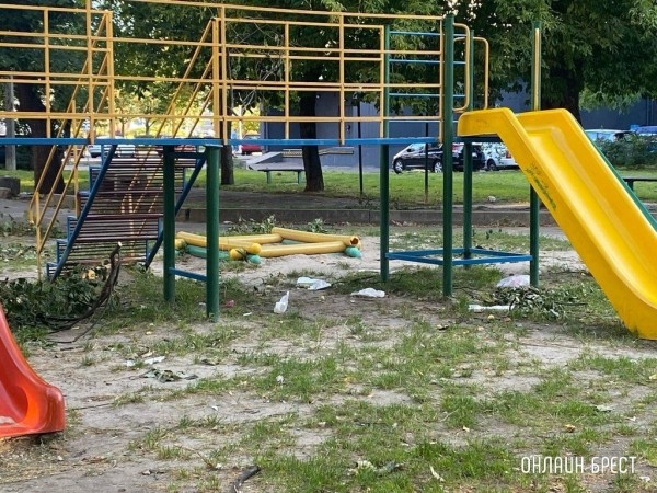 Читатель: Территория детской площадки нуждается в уборке. Брест, бульвар Космонавтов, 33
             
                Читатель: Территория детской площадки нуждается в уборке. Брест, бульвар Космонавтов, 33
