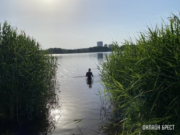 Где в Бресте разрешили купаться? Где в Бресте разрешили купаться?