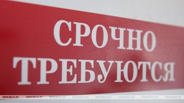 Назван топ-10 самых востребованных вакансий в Беларуси. Кто на пике спроса? Назван топ-10 самых востребованных вакансий в Беларуси. Кто на пике спроса?