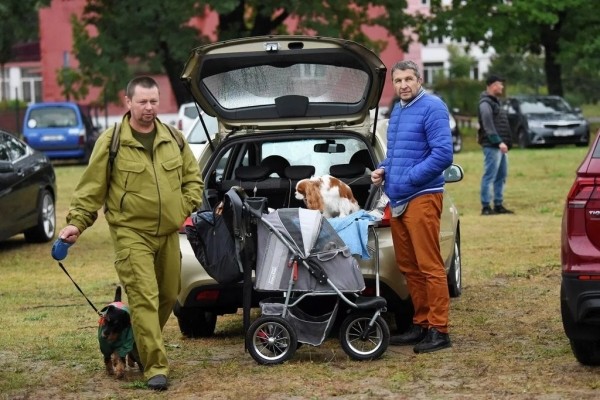 В Беларуси выбрали лучшую собаку В Беларуси выбрали лучшую собаку