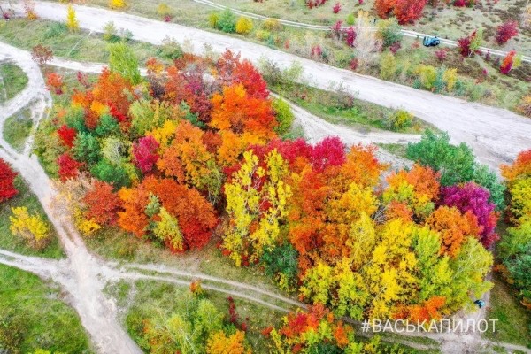 Краски осеннего Бреста
             
                Краски осеннего Бреста