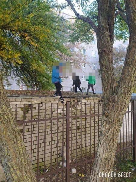 Читатель: Родители, следите за тем, чем занимаются ваши дети!
             
                Читатель: Родители, следите за тем, чем занимаются ваши дети!