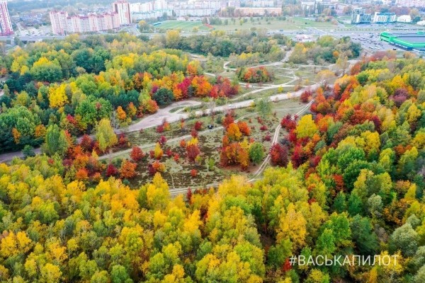 Краски осеннего Бреста
             
                Краски осеннего Бреста