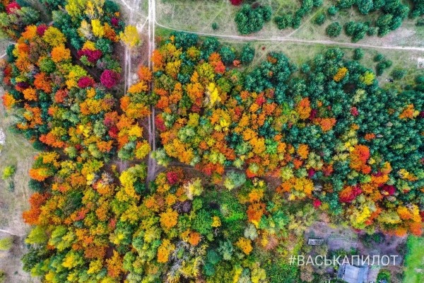 Краски осеннего Бреста
             
                Краски осеннего Бреста