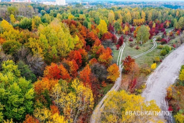 Краски осеннего Бреста
             
                Краски осеннего Бреста