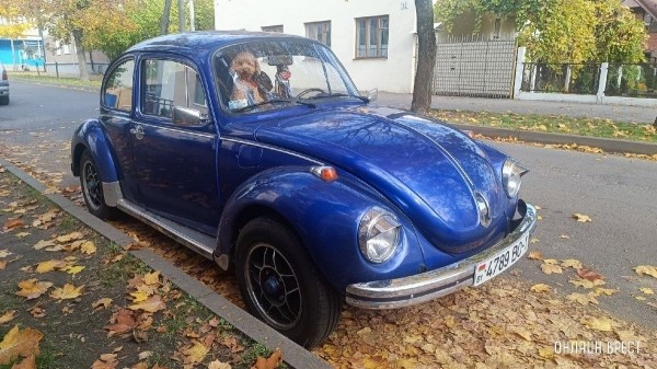 Читатель: Такой классный автомобиль можно увидеть в центре Бреста. А какая милашка сидит на пассажирском
             
                Читатель: Такой классный автомобиль можно увидеть в центре Бреста. А какая милашка сидит на пассажирском