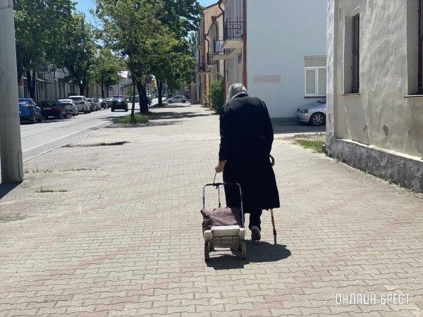 Разгадана загадка умных долгожителей Разгадана загадка умных долгожителей