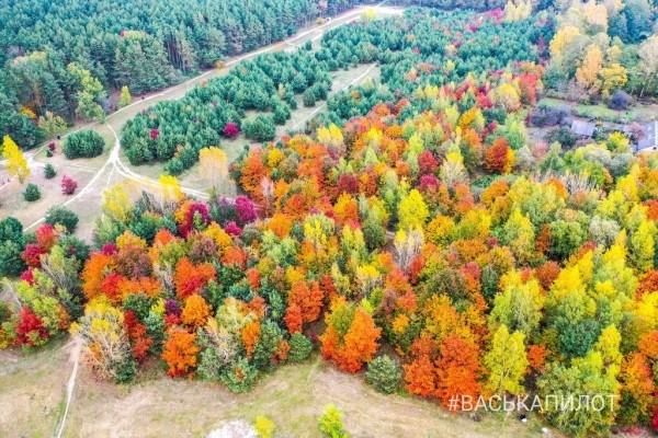 Краски осеннего Бреста
             
                Краски осеннего Бреста