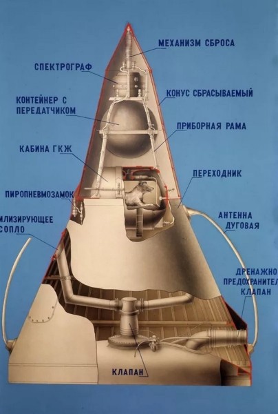 История самой одинокой и несчастной собаки в мире История самой одинокой и несчастной собаки в мире