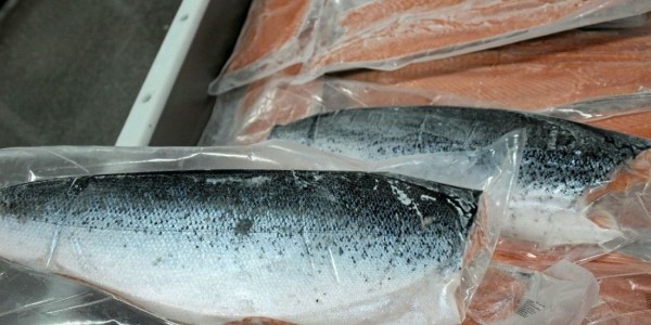 Белорус устал работать на стройке и рванул на рыбный завод в Норвегию. Что по деньгам? Белорус устал работать на стройке и рванул на рыбный завод в Норвегию. Что по деньгам?