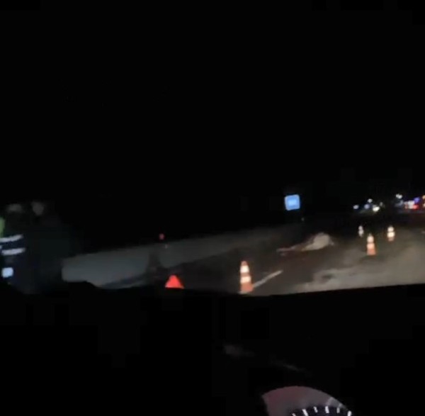 Маршрутка в дереве, лось пал: серьезная авария на трассе М6 Маршрутка в дереве, лось пал: серьезная авария на трассе М6