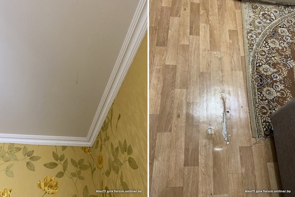«А что вы хотели за 120 рублей?» Семья сняла квартиру на сутки в Минске и получила «гигиенический шок» «А что вы хотели за 120 рублей?» Семья сняла квартиру на сутки в Минске и получила «гигиенический шок»