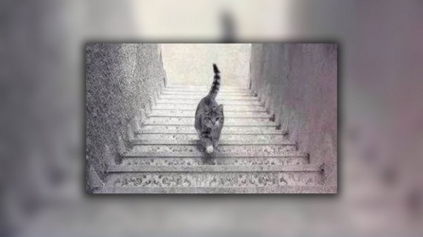 Пять потрясающих оптических иллюзий, вводящих наш мозг и глаза в ступор Пять потрясающих оптических иллюзий, вводящих наш мозг и глаза в ступор