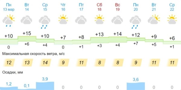 В Бресте и области на 14 марта объявлен оранжевый уровень из-за сильного ветра В Бресте и области на 14 марта объявлен оранжевый уровень из-за сильного ветра