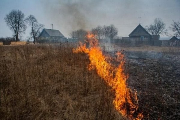 Штраф за сжигание сухой травы составляет до 25 базовых Штраф за сжигание сухой травы составляет до 25 базовых