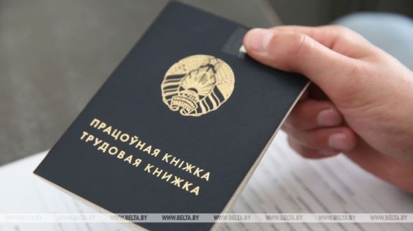 Какие способы белорусы выбирают для поиска работы – статистика Какие способы белорусы выбирают для поиска работы – статистика