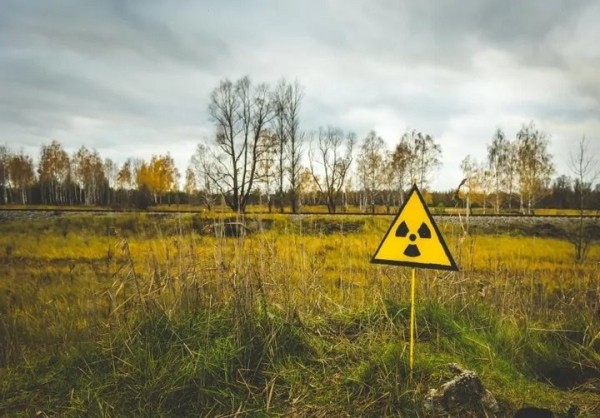 Последствия катастрофы на ЧАЭС: ситуация в Брестской области сегодня Последствия катастрофы на ЧАЭС: ситуация в Брестской области сегодня