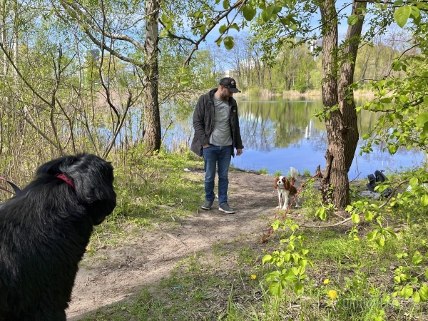 ГИГАНТСКИЕ СОБАКИ. Сколько денег уходит на содержание двух 60-килограммовых собак в панельной трёшке в Бресте? ГИГАНТСКИЕ СОБАКИ. Сколько денег уходит на содержание двух 60-килограммовых собак в панельной трёшке в Бресте?