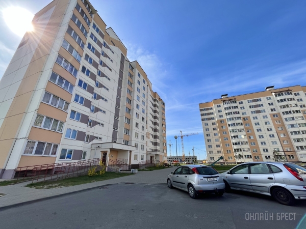 ГИГАНТСКИЕ СОБАКИ. Сколько денег уходит на содержание двух 60-килограммовых собак в панельной трёшке в Бресте? ГИГАНТСКИЕ СОБАКИ. Сколько денег уходит на содержание двух 60-килограммовых собак в панельной трёшке в Бресте?