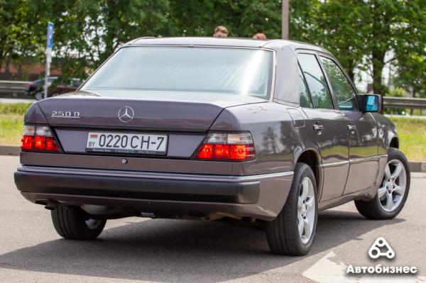 «Нет года выпуска, есть состояние». В Беларуси владельцы старых Mercedes собрались на большую встречу «Нет года выпуска, есть состояние». В Беларуси владельцы старых Mercedes собрались на большую встречу