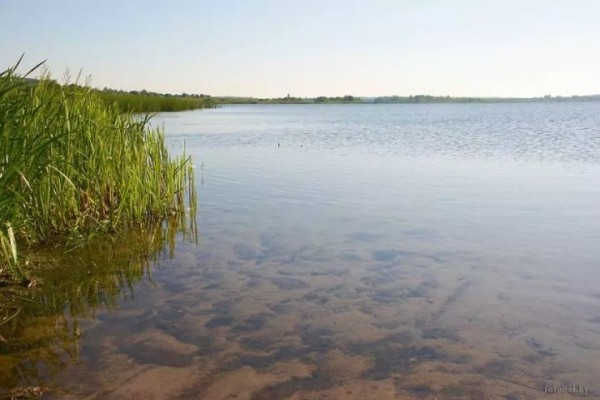 Пропавшего рыбака нашли мертвым в затонувшей в озере машине Пропавшего рыбака нашли мертвым в затонувшей в озере машине