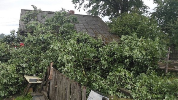 В МЧС рассказали, что натворила непогода в Брестской области В МЧС рассказали, что натворила непогода в Брестской области