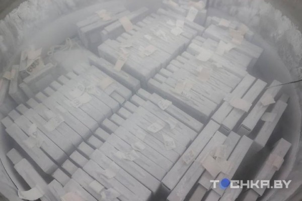 Зачем белорусы замораживают стволовые клетки своих детей Зачем белорусы замораживают стволовые клетки своих детей