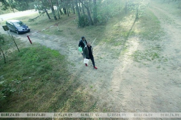 Попали в кадр: как в Ивацевичском лесхозе фотоловушки помогают бороться с нарушителями Попали в кадр: как в Ивацевичском лесхозе фотоловушки помогают бороться с нарушителями