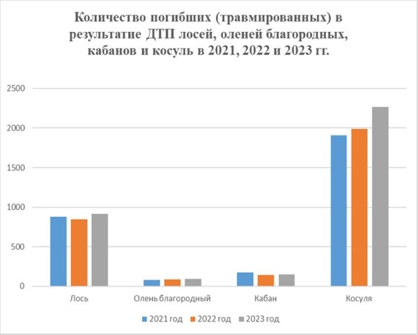 Стало больше почти на 12%. Подробная статистика ДТП с участием диких животных в Беларуси за 2023 год Стало больше почти на 12%. Подробная статистика ДТП с участием диких животных в Беларуси за 2023 год