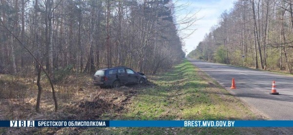 Водитель из Бреста на Ford врезался в дерево Водитель из Бреста на Ford врезался в дерево