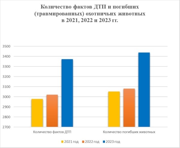 Стало больше почти на 12%. Подробная статистика ДТП с участием диких животных в Беларуси за 2023 год Стало больше почти на 12%. Подробная статистика ДТП с участием диких животных в Беларуси за 2023 год