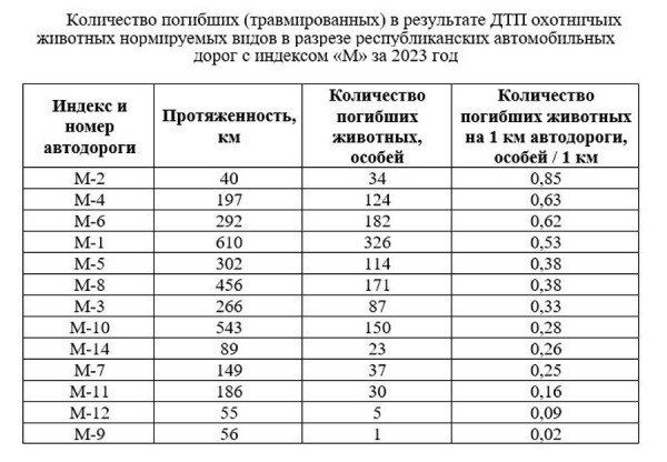 Стало больше почти на 12%. Подробная статистика ДТП с участием диких животных в Беларуси за 2023 год Стало больше почти на 12%. Подробная статистика ДТП с участием диких животных в Беларуси за 2023 год