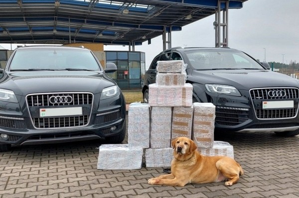 Белорусы могут лишиться двух дорогих AUDI Q7 Белорусы могут лишиться двух дорогих AUDI Q7