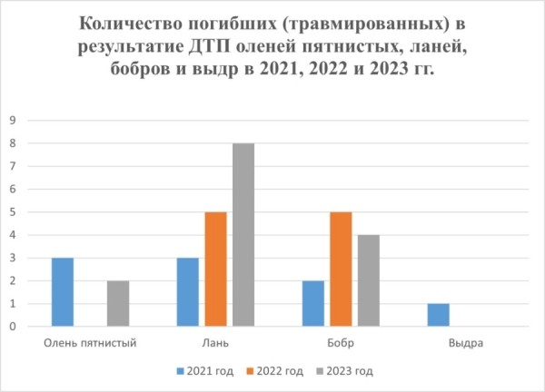 Стало больше почти на 12%. Подробная статистика ДТП с участием диких животных в Беларуси за 2023 год Стало больше почти на 12%. Подробная статистика ДТП с участием диких животных в Беларуси за 2023 год
