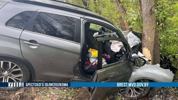 В Жабинковском районе водитель Mitsubishi уснул за рулем и врезался в дерево В Жабинковском районе водитель Mitsubishi уснул за рулем и врезался в дерево